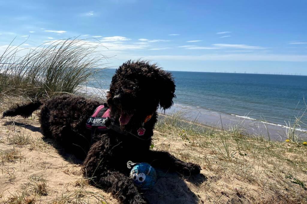 Willa Combe-N-Sea Haverigg Zewnętrze zdjęcie